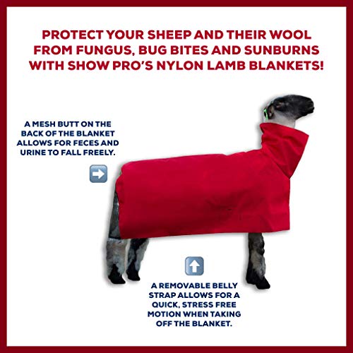 Show Pro Red Sheep Blanket - Nylon Mesh with Adjustable Strap - Lamb Size 30+ lbs - Sunburn & Fly Bite Protection - Made in USA - size: Large