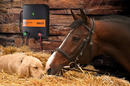 Gallagher M800 Electric Fence Charger | Powers Up to 90 Miles / 520 Acres of Clean Fence | 8.0 Joule 110v Fence Energizer for Livestock, Pastures, and Wildlife Exclusion