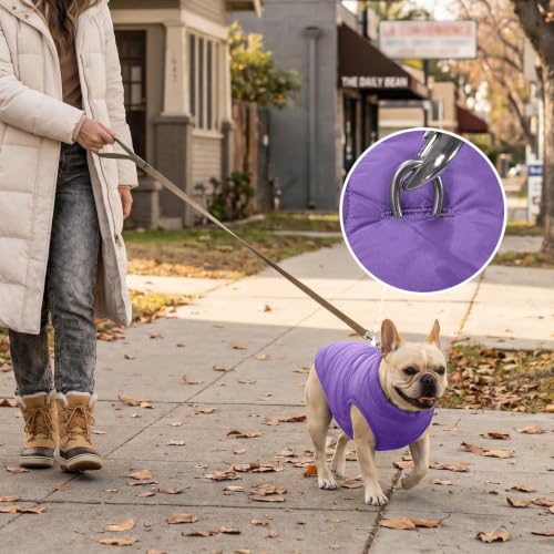JoyDaog Fleece Lined Dog Jacket for Small Dogs,Winter Dog Coat,Purple M - color: Purple, size: Medium