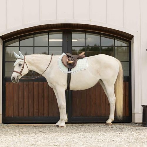 Equinavia Svalbard NordicAir Tech Horse Saddle Pad, Equestrian Saddle Pads - color: Misty Jade