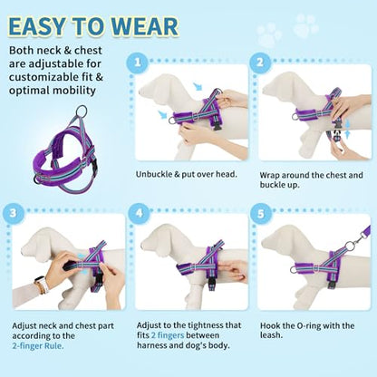 SlowTon No Pull Small Dog Harness and Leash Set with Front Clip | Soft Padded, Neck & Chest Adjustable, Lightweight, Anti-Twist, Puppy Vest Harness Pet Lead Combo for Small Medium Dog, PU XXS - color: Purple, size: XX-Small