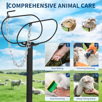 Adjustable Goat Milking Stand 47x23in 500LBS Capacity Heavy Duty | Headpiece & Nose Loop, Height Adjustable, Multi-Purpose
