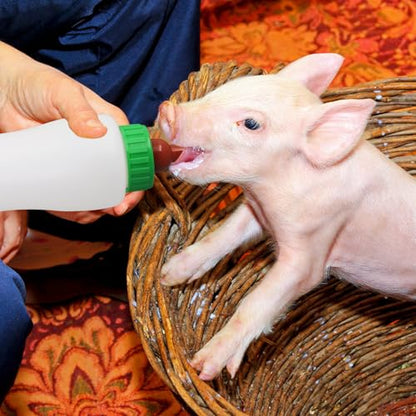 Lamb & Goat Feeding Bottle, 500ml, 2 Pack,Reusable | BPA Free |Soft Rubber Nipple | Clear Scale|Reusable Bottle & Nipple | For Goat Lamb Piglet,Puppy