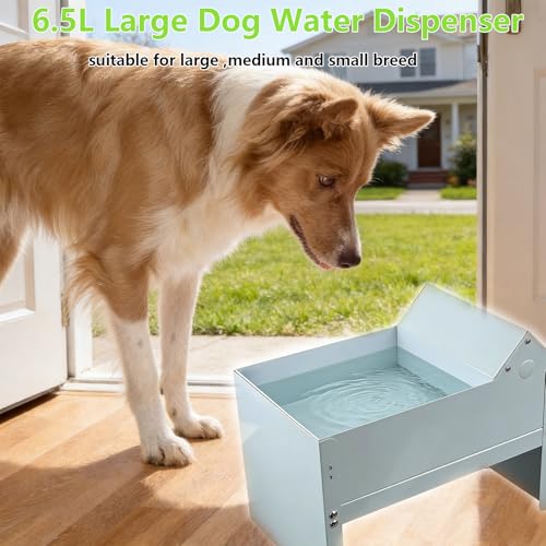 Automatic Dog Water Bowl Dispenser 6.5 Liter Self Refilling Water Bowl for Cat Dog Poultry Auto Fill Waterer with Float Valve Outdoor Indoor Pet Drinking Trough Fit GHT 3/4" Faucet