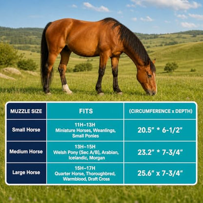 Durable Ventilated Grazing Muzzle with Attached Breakaway Halter - Lightweight Horse Muzzle, Supports Natural Grazing, Restricts Food Intake, Padded Noseband - color: Onyx Black