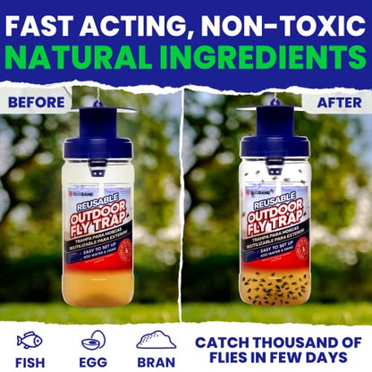 Fly Bait Fly Trap Refill Packets 3x1oz. Non Toxic Dissolvable Granules Work with All Reusable Flies Traps Outdoors Attractant. Flies Trap Bait Magnet Ranch Flytrap Outdoors. Cebo para Moscas - size: 3pack
