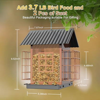 FlowaFoli Bird Feeders for Outdoors Hanging, Metal Bird Feeder with Double Suet Cage Cake, Large Capacity, Birdfeeders Sturdy & Weatherproof, Easy to Clean & Refill, Great for Attracting Wild Birds - color: Brown