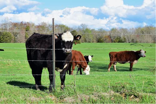 Electric Fence Energizer 20 Acre 2 in 1 Powered by Battery or AC Outlet 10000V 2J Pulse Electric