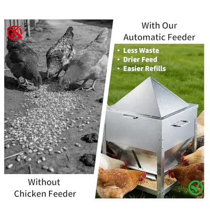 Automatic Chicken Feeder, 80lb Large Capacity Chicken Feeder, No Waste Gravity Poultry Feeder with Legs and Rain Proof Lid, Metal Outdoor Poultry Feeders for Hens, Ducks, Roosters, Free-Range Coops