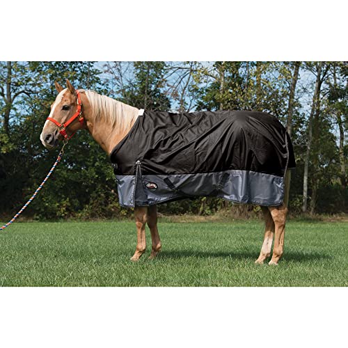 Weaver Leather Premium Turnout Horse Blanket - Polyester Fiber Fill, 600-denier, Black, 81",