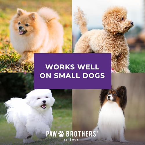 Ryan's Pet Supplies Paw Brothers Mini Pin Tiny Flat Slicker Brush for Dogs, Professional Grade, Stainless Steel Pins, Flexible Head, Comfort Grip, Mini Size, 4.75" x 2.25" x 1.5" - style: Mini Soft Pin Slicker Brush