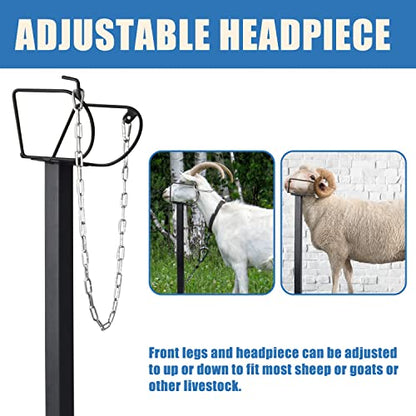 Goat Milking Stand 600Lbs Goat Stand Sheep Stand for Trimming Metal Livestock Stand with Adjustable Headpiece Goat Shearing Livestock Stand Height Adjustable, Black - color: Black