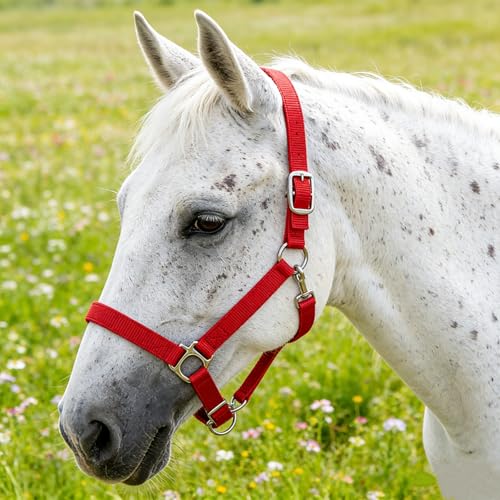 Heavy Duty Soft Nylon Horse Halter, Padded and Adjustable, Chin and Throat Snap Hook Halters for Horses, Heavy-Duty Metal Buckle - color: Red