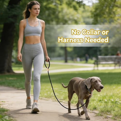 Mile High Life Heavy Duty Slip Lead No Pull Leash 6/5/4FT for Large Dogs - color: Black, size: 4 Feet