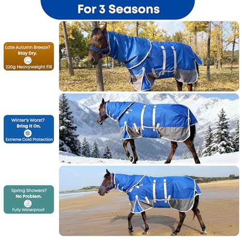 1200D Turnout Horse Blanket with Hood & Band, Medium Weight, Blue/Grey,78IN - color: Blue/Gray with Band, size: 78 IN