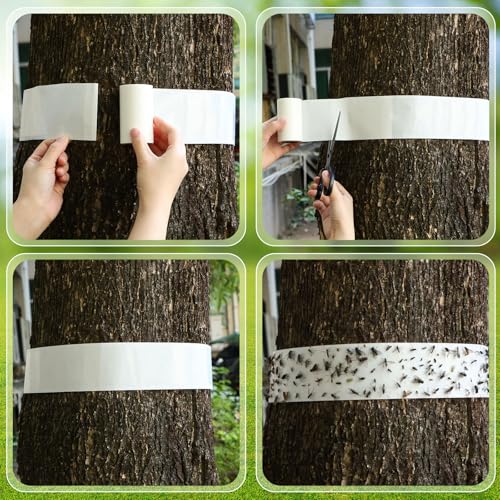6 Rolls Spotted Lantern Fly Tree Trap, 30 ft Each, Outdoor Ant Trees Wrap | Fly Tree Tape Sticky Strips, for Protecting Trees, Fruit & Plants, Pest Control