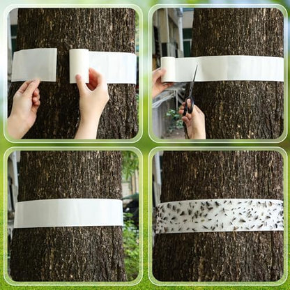 6 Rolls Spotted Lantern Fly Tree Trap, 30 ft Each, Outdoor Ant Trees Wrap | Fly Tree Tape Sticky Strips, for Protecting Trees, Fruit & Plants, Pest Control