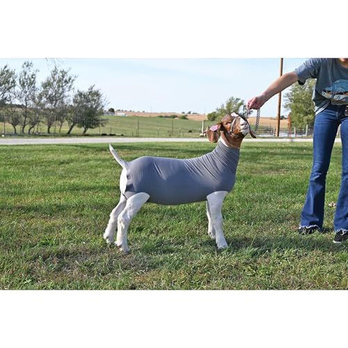 Weaver Livestock Spandex Goat Tube - size: Large, style: Gray