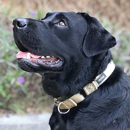 Hyhug Martingale Dog Collar Medium Green |Escape - Proof Heavy Duty Nylon Durable No Slip, Ideal for Training & Daily Walks | Heavy-duty nylon, secure fit for active dogs. Great for training walks and park outings. Durable & easy adjust - color: Military