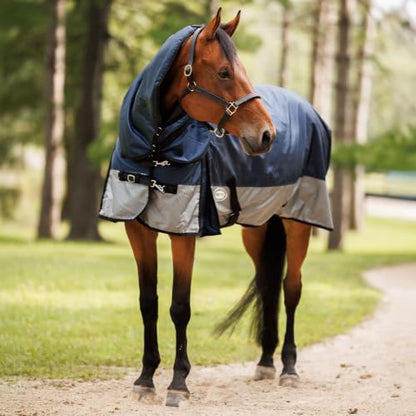 Country Pride Gale Force Full Neck Turnout Blanket, 1680D Waterproof Blanket, 100g Insulation, Lightweight Adjustable Double Buckle Front, Bias Surcingle, Shoulder Gussets,Navy and Grey (84) - size: 84