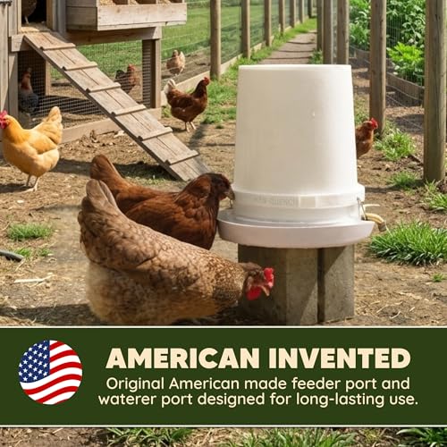 Poultry Pro Chicken Feeder & Waterer Set, 3 Ports, Hole Saw & Waterer - style: Feeder and Waterer Bundle