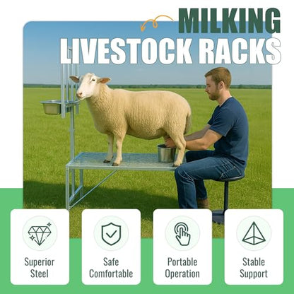600LBS Milking Stand for Goat, Adjustable Sheep Rack with Feeder, Metal Livestock Milk Stand Fit for Shearing, Hoof Trimming, Animal Examinel Examination, Stainless Steel (Silvery) - color: Silvery