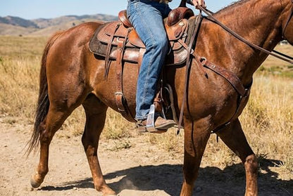 ProRider Horse Western Roper Stirrup Saddle Sloped Angled Stirrups Aluminum USA Flag 5199