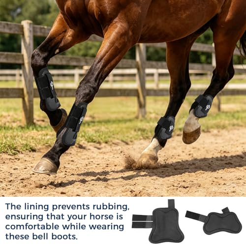 Horse Boots Set of 4, Open Front Tendon Boots & Hind Fetlock Boots, Shock-Absorbing Horse Leg Protection for Jumping, Riding and Competition (Black, Full Size)