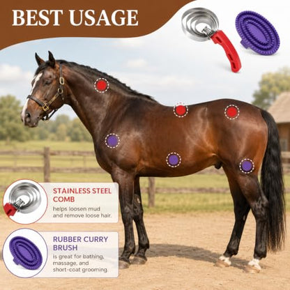 4-Ring Curry Comb & Purple Rubber Brush Set for Horses, Dogs & Livestock - color: Purple Kit