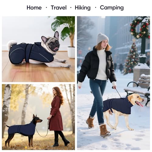 Dotoner Waterproof Dog Coat Warm Fleece Lined Jacket Reflective Winter Pet Apparel for Small Medium Large Dogs with Leash Opening Adjustable Neck & Tail Drawstring - color: Blue, size: Medium