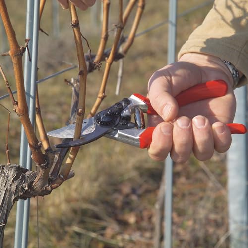 Felco F8 Pruning Shears – 8.3" Swiss-Made Garden Clippers with 1" Cutting Capacity for Ergonomic Comfort | Hand Pruners for Gardening | Garden Tool Cutter with Precision Bypass Blade, Aluminum Handles - size: F8 Large Ergo