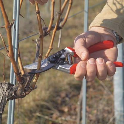 Felco F8 Pruning Shears – 8.3" Swiss-Made Garden Clippers with 1" Cutting Capacity for Ergonomic Comfort | Hand Pruners for Gardening | Garden Tool Cutter with Precision Bypass Blade, Aluminum Handles - size: F8 Large Ergo