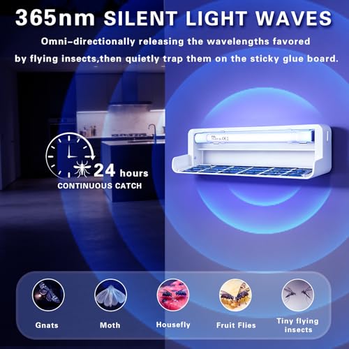 Fruit Fly UV Light Trap Indoor Commercial for Restaurants Bug Zapper 4 PCS - style: 4pack-White-w/20 Sticky Glue Boards