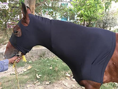 Majestic Ally Stretch Horse Hood with Zipper, Small, Black - color: Black, size: Small