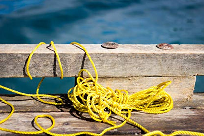Yellow Poly Rope 5/16" x 100 Foot Polypropylene, Marine, Industrial, Resistant to Moisture Chemical Oil Floats Stretch Resistant Deer Fence Home Improvement DIY Yellow Rope, Great White Brands, USA