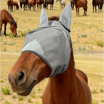 Grey Adjustable Horse Fly Mask with Ears for Ranch Daily Training