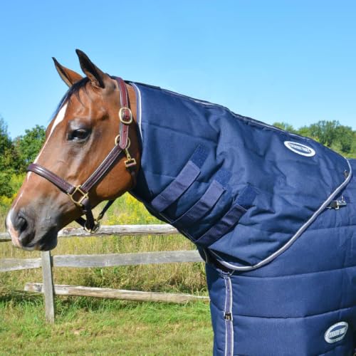 Country Pride Horse Blanket Hood (Neck Cover) - Navy Blue, Small - size: Small