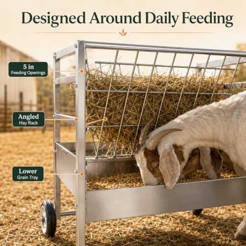 Sheep Feeder, 2 in 1 Livestock Feeder Hay and Grain Feeder for Goats Lambs