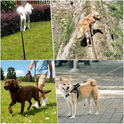 BTINESFUL 5FT Soft Cotton Dog Leash Rope for Strong Large Medium Dogs - color: black, size: 5 Foot (Pack of 1)