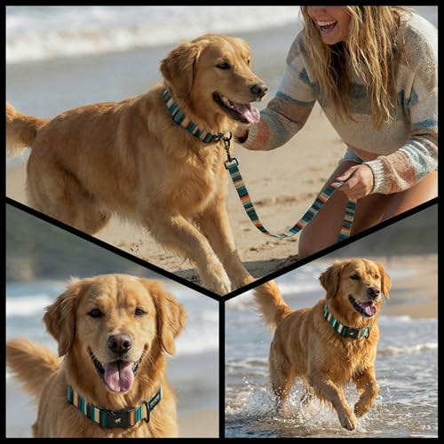 Tuff Pupper Premium Adjustable Dog Collar for Medium Boy & Girl Dogs, Stylish Pattern Collars Designed in USA, Quick Release Buckle, SacredTribe Print, Medium (1 Inch Wide x 13-18 Inch Neck) - color: SacredTribe, size: Medium