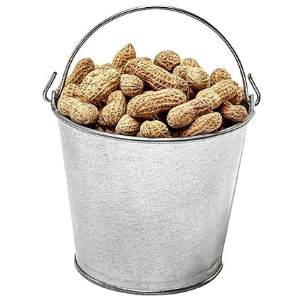 2 Quart Galvanized Steel Pail, Metal Bucket - color: 2 Quart Steel Pail