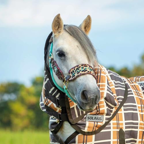 Jeffers Pony Poppins Solaris Horse Neck Rug, Brown & Cream Plaid -1200 Denier, 240g Polyfill, Water & Weather Resistant, Stable & Turnout Blanket Accessory, Breathable & Insulated Equestrian Gear, XXS