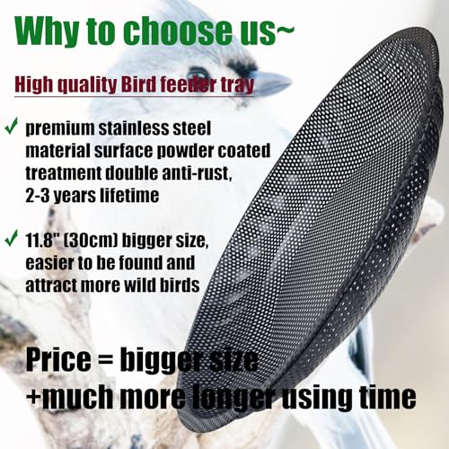 CQAIRIOU Wall Mounted Bird Feeder Tray,11.8" Stainless Steel Large Fence Tree Mount Birds Feeder for Outside Wild Birds, Table Mountable Platform Bird Feeder Mesh Seed Tray with Hanging Hook - size: Wall/Fence/Tree Mounted Bird Feeder Tray