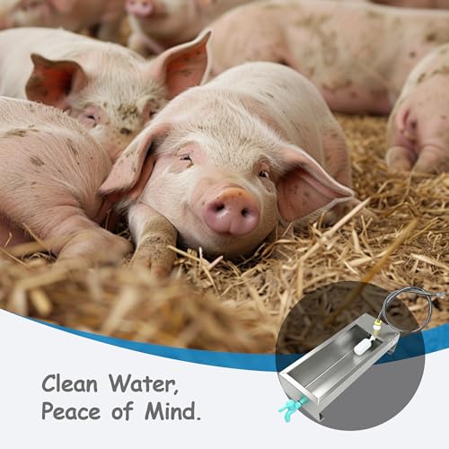 Automatic Livestock Waterer Drinking Trough Large Dog Water Bowl Dispenser 3 Gallon Stainless Steel with Float Valve for Cattle Chicken Goat Horse Pigs Poultry Outdoor Animals - size: 3 Gallon