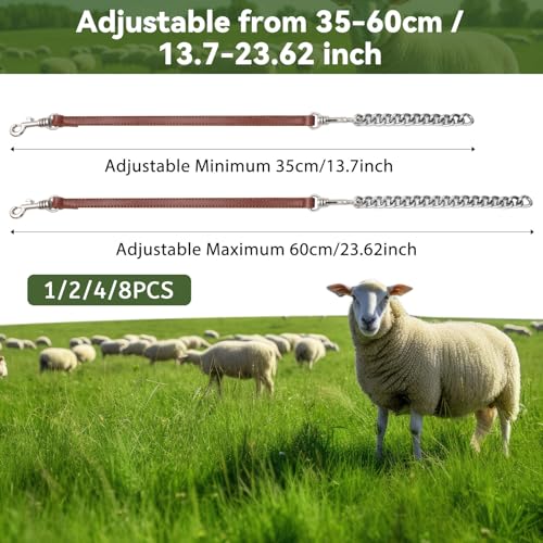 Misdary 4 Pcs Goat Show Collars Adjustable 14" Chain, 14'', Brown - color: Brown