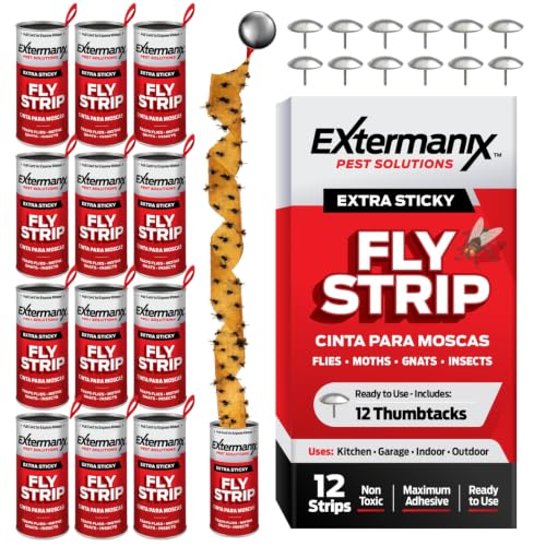 Fly Strips for Gnats, Fruit Flies & House Flies – Extra Sticky Fly Paper – Indoor Sticky Hanging Fly Tape for Home & Kitchen – Non-Toxic Fly Ribbon Rolls with Pins – 12 Pack
