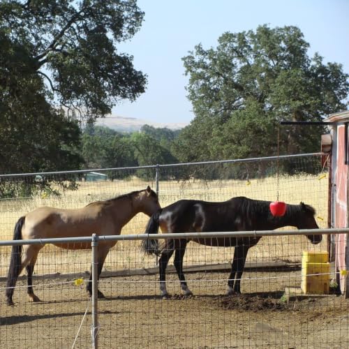 Ritchie Watermatic 100 Automatic Cattle Horse Waterer, 2.8 Gallon Capacity, 1-Sided Fully Insulated Heavy Duty Water Fountain for Horses, Cattle, Sheep & Goats - color: Yellow