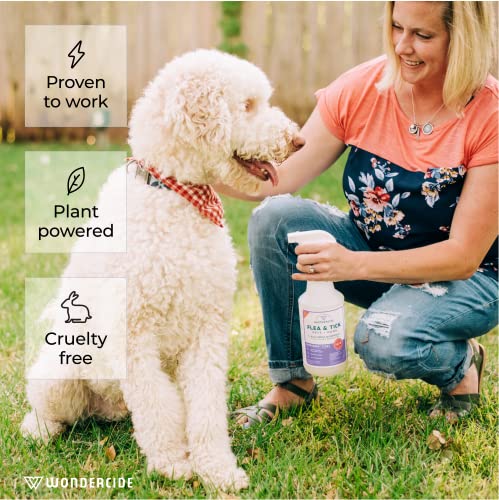 Wondercide - Flea, Tick & Mosquito Spray for Dogs, Cats, and Home - Flea and Tick Killer, Control, Prevention, Treatment - with Natural Essential Oils - Pet and Family Safe - Rosemary 4 oz - color: Rosemary, size: 4 OZ