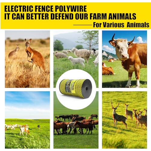 NQN Upgrade Electric Fence Polywire 3285FT,1000 Meters, 6 Stainless Steel Strands for Reliable Conductivity, Portable Electric Fencing, UV Resistant, Rust Resistant, Highly conductive, Easy to Install - size: 3285 Feet