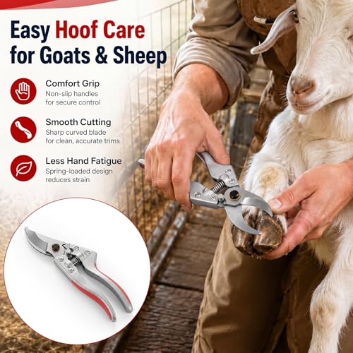 2 Pcs 8.3 Inch Goat Hoof Trimmers Farrier Shears, Stainless Steel Curved Blade Sheep Hoof Clippers, Livestock Nail Trimming Tool for Goats, Sheep, Pig, Horse, Garden Scissors